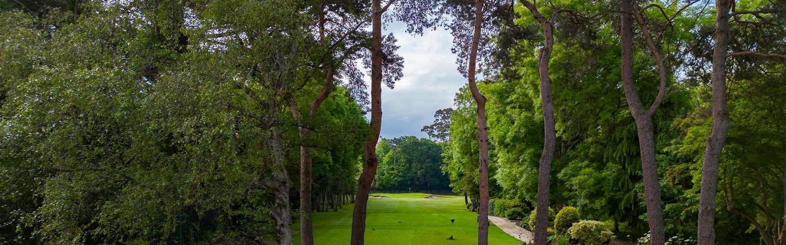 Mature trees framing a fairway at Foxrock
